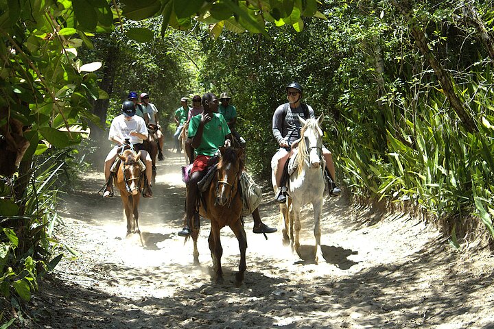 Mountain Horseback Riding  & Transport